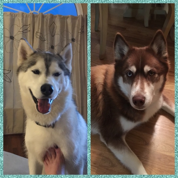 Meet your Posher, Shelley - Picture 8 of 10